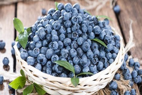 Photo of property in 1/10 Dinton Street, Russley, Christchurch, 8042