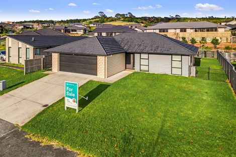 Photo of property in 14 Urumaraki Avenue, Helensville, 0800