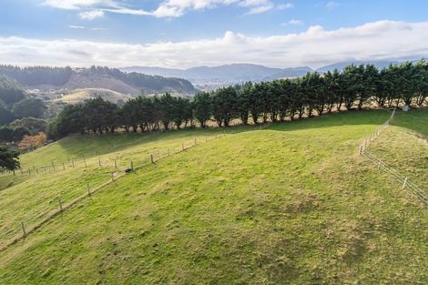 Photo of property in 105a Bradey Road, Pauatahanui, Porirua, 5381