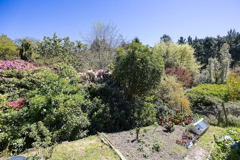 Photo of property in 63 Martin Road, Fairfield, Dunedin, 9018