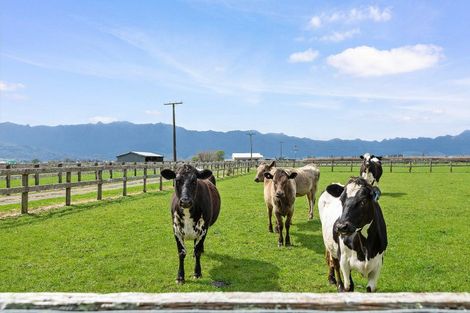 Photo of property in 312 O'donoghue Road, Te Aroha West, Te Aroha, 3391