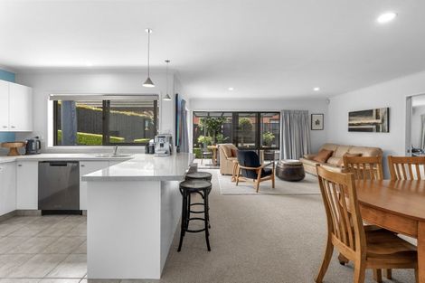 Photo of property in 16 Raukawa Drive, Bethlehem, Tauranga, 3110