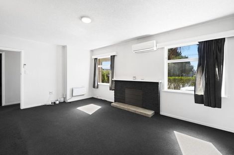 Photo of property in 30a Hogan Street, Hamilton East, Hamilton, 3216