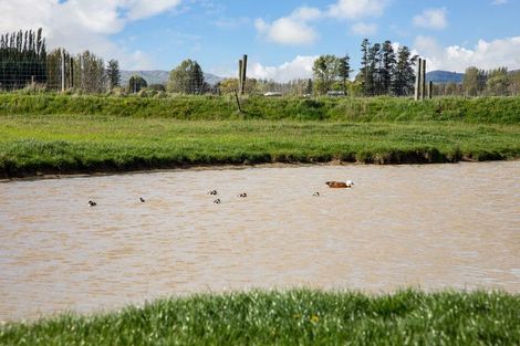 Photo of property in 272 Galloway Road, Galloway, Alexandra, 9393