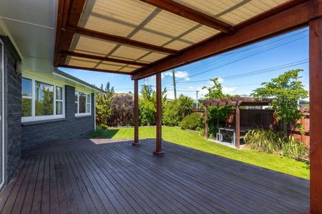 Photo of property in 241 Scott Street, Redwoodtown, Blenheim, 7201