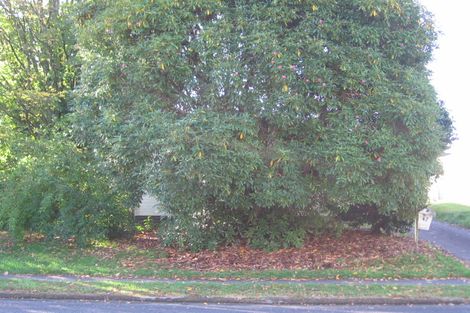 Photo of property in 47 Cramond Street, Tokoroa, 3420