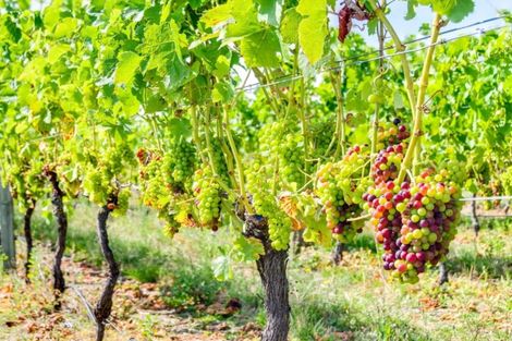 Photo of property in 238 Stock Road, Bridge Pa, Hastings, 4175