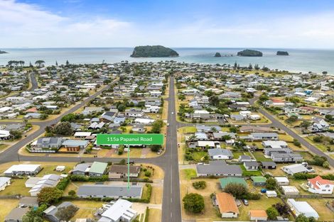 Photo of property in 115a Papanui Road, Whangamata, 3620