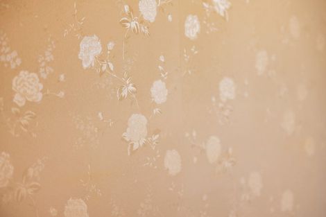 Photo of property in 61 Te Aroha Street, Hamilton East, Hamilton, 3216