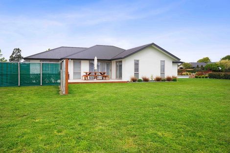 Photo of property in 42 Manse Road, Leeston, 7632