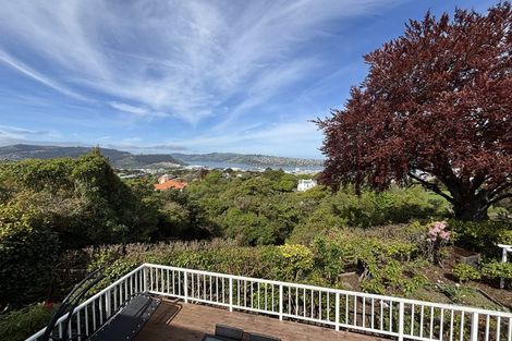 Photo of property in 30 Tweed Street, Roslyn, Dunedin, 9010