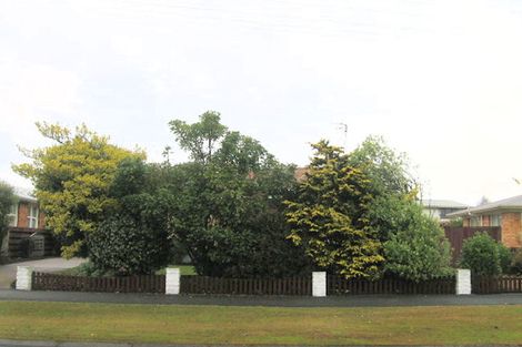 Photo of property in 101 Mount View Road, Melville, Hamilton, 3206