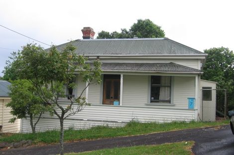 Photo of property in 7 Alexander Street, Kingsland, Auckland, 1021