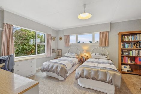 Photo of property in 19 Tweed Street, Roslyn, Dunedin, 9010