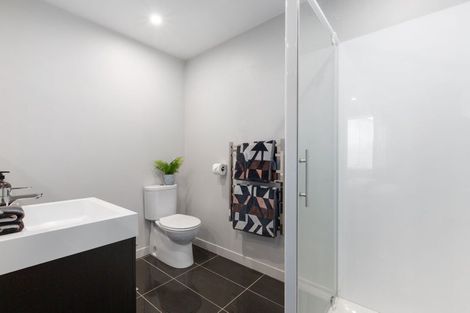 Photo of property in 30/31 Princess Terrace, Newtown, Wellington, 6021