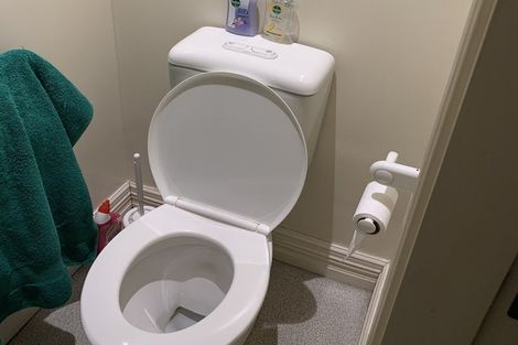 Photo of property in 66 Pipitea Street, Thorndon, Wellington, 6011