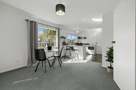 Photo of property in 10a Ihle Street, Terrace End, Palmerston North, 4410