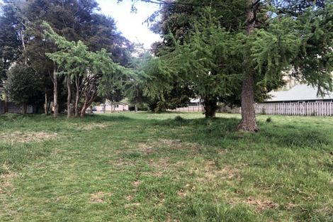 Photo of property in 39 Te Iwiheke Place, Turangi, 3334