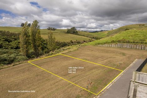 Photo of property in 209 Adler Drive, Ohauiti, Tauranga, 3112