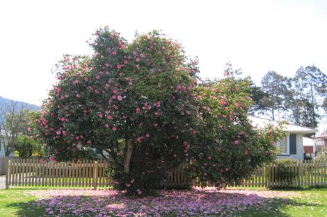 Photo of property in 37a Shirley Street, Mangakakahi, Rotorua, 3015