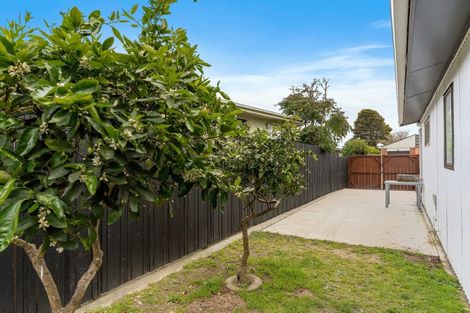 Photo of property in 50a Matavai Street, Mount Maunganui, 3116
