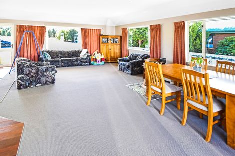 Photo of property in 19 Braemar Place, Twizel, 7901