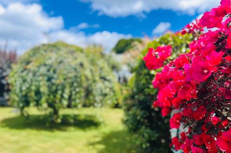 Photo of property in 36 Awanui Drive, Waikanae, 5036