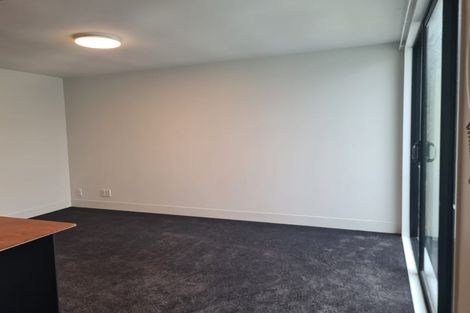 Photo of property in 11/3 King Street, Mount Cook, Wellington, 6021