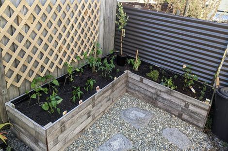 Photo of property in 54 Pirie Street, Mount Victoria, Wellington, 6011