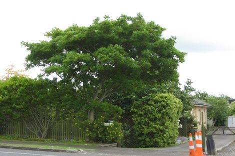 Photo of property in 53 Nelson Street, Pukekohe, 2120