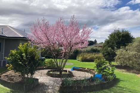 Photo of property in 20 Paraekaretu Street, Hunterville, 4730