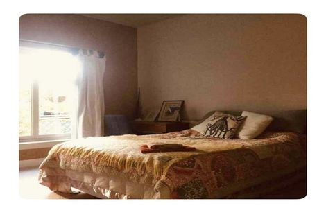 Photo of property in 22 Erin Street, Roslyn, Dunedin, 9010