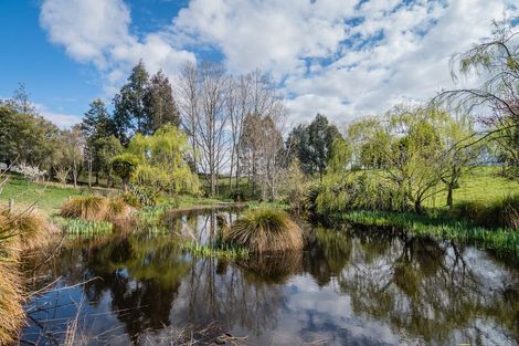 Photo of property in 214 Rosebrook Road, Claremont, Timaru, 7974