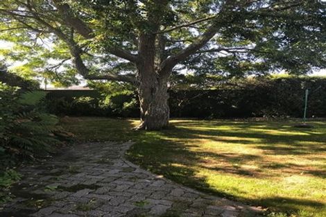 Photo of property in 47 James Cook Street, Havelock North, 4130