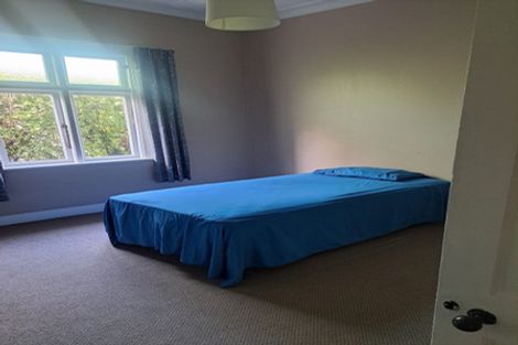 Photo of property in 6 Albert Street, Saint Clair, Dunedin, 9012