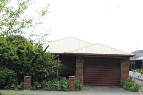 Photo of property in 71 Halifax Street, The Wood, Nelson, 7010