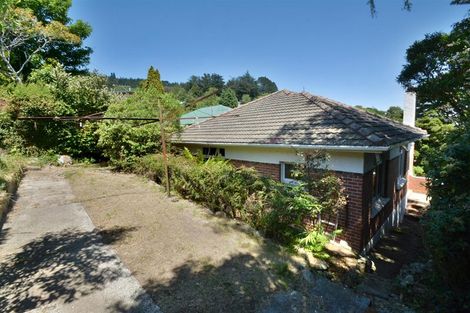 Photo of property in 19 Antrim Street, Normanby, Dunedin, 9010