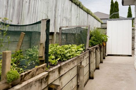 Photo of property in 20 Parkland Rise, Omokoroa, 3114