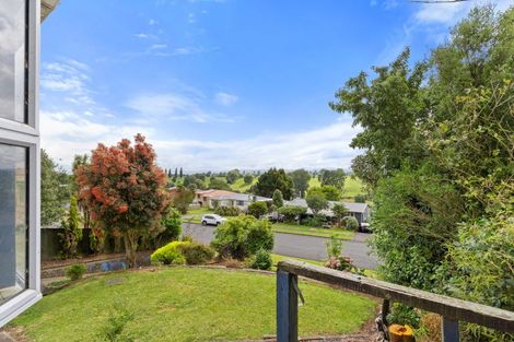 Photo of property in 19 Bledisloe Avenue, Putaruru, 3411