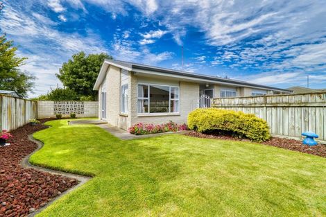 Photo of property in 117 Avondale Road, Greenmeadows, Napier, 4112
