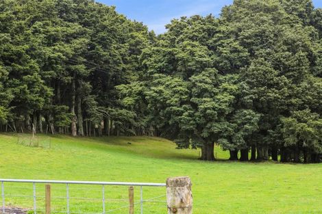 Photo of property in 569 Tomarata Valley Road, Whangaripo, Wellsford, 0974