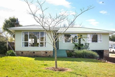 Photo of property in 6 Birdwood Road, Pukekohe, 2120