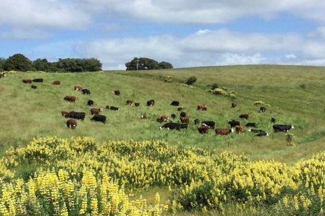 Photo of property in 310 Blackhead Road, Blackhead, Dunedin, 9076