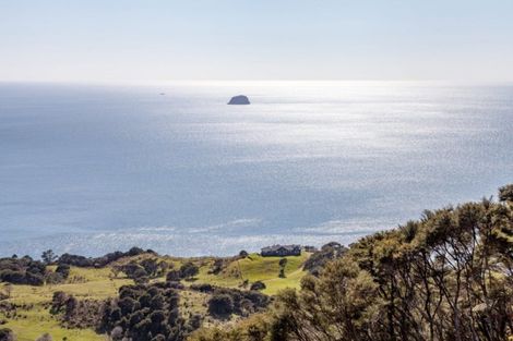 Photo of property in 170 Radar Road, Whenuakite, Whitianga, 3591