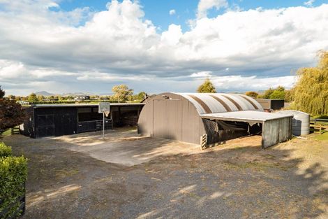 Photo of property in 48 Peake Road, Cambridge, Hamilton, 3283