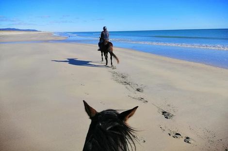 Photo of property in 109 Mimiha Ridge Road, Matata, Whakatane, 3194