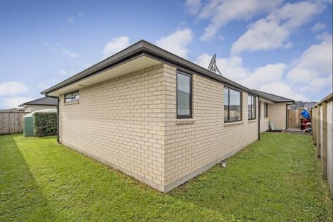 Photo of property in 31 Palm Drive, Whitianga, 3510
