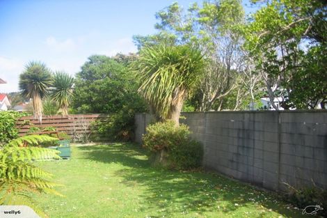 Photo of property in 47 Kings Crescent, Hutt Central, Lower Hutt, 5010