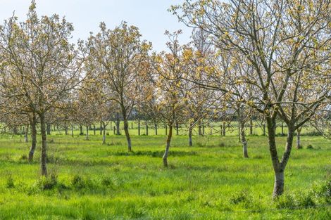 Photo of property in 864 Clintons Road, Charing Cross, Christchurch, 7671