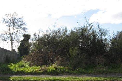 Photo of property in 2 Karamea Street, Murupara, 3025